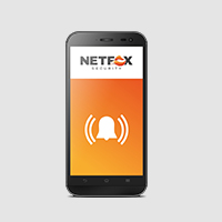 Netfox Security